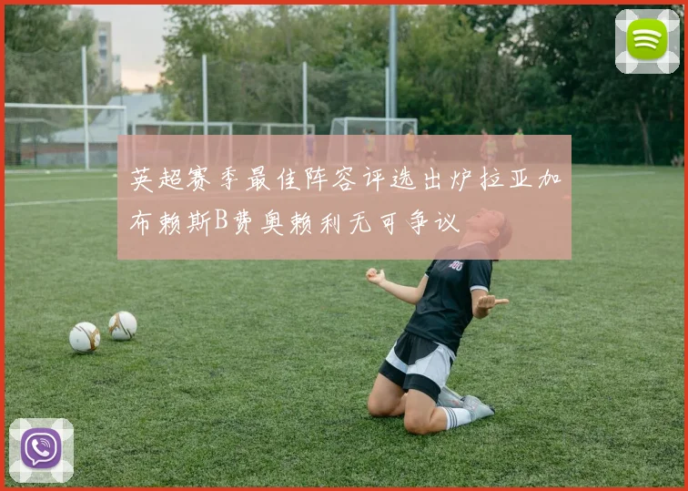 英超赛季最佳阵容评选出炉拉亚加布赖斯B费奥赖利无可争议