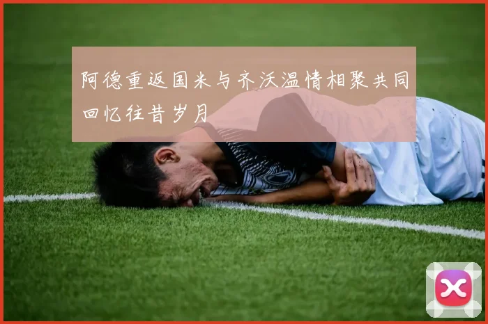阿德重返国米与齐沃温情相聚共同回忆往昔岁月