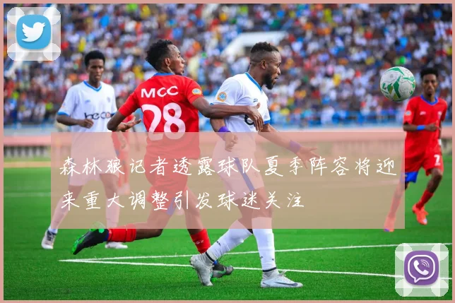 森林狼记者透露球队夏季阵容将迎来重大调整引发球迷关注