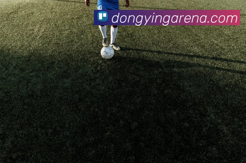 App界面